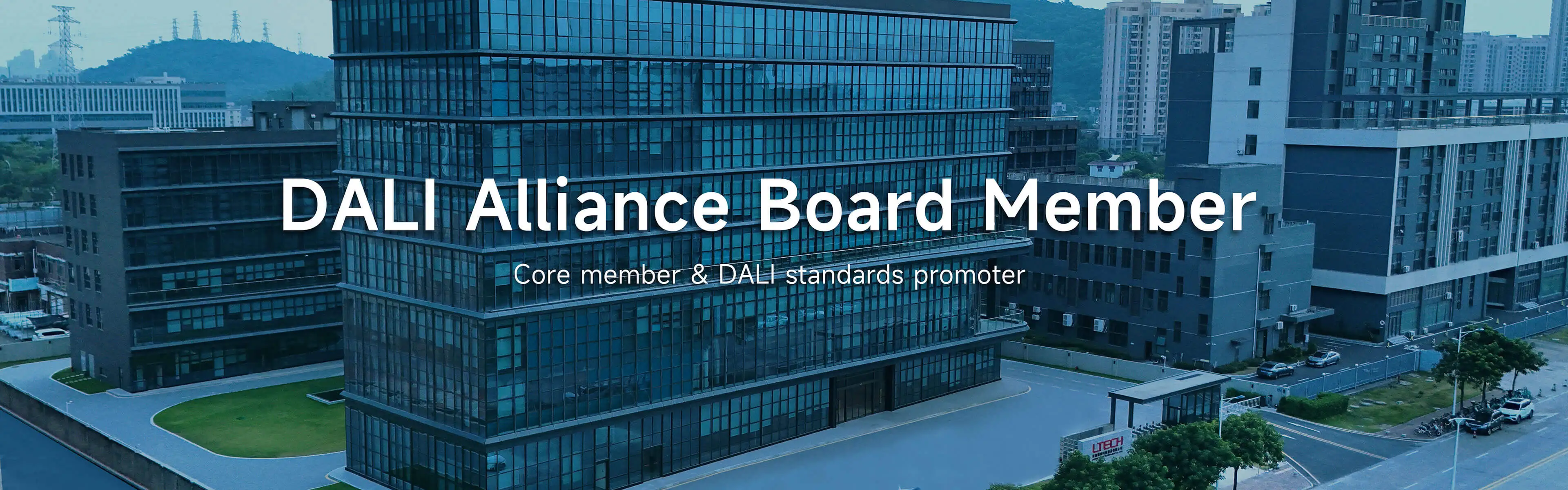 Director of the Board of DALlAlliance