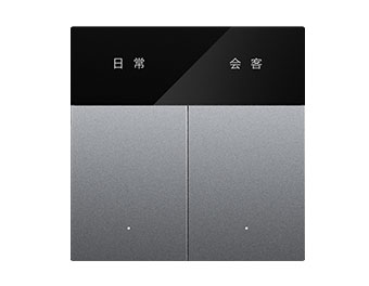 2键 创想系列超级智能开关 S2PRO